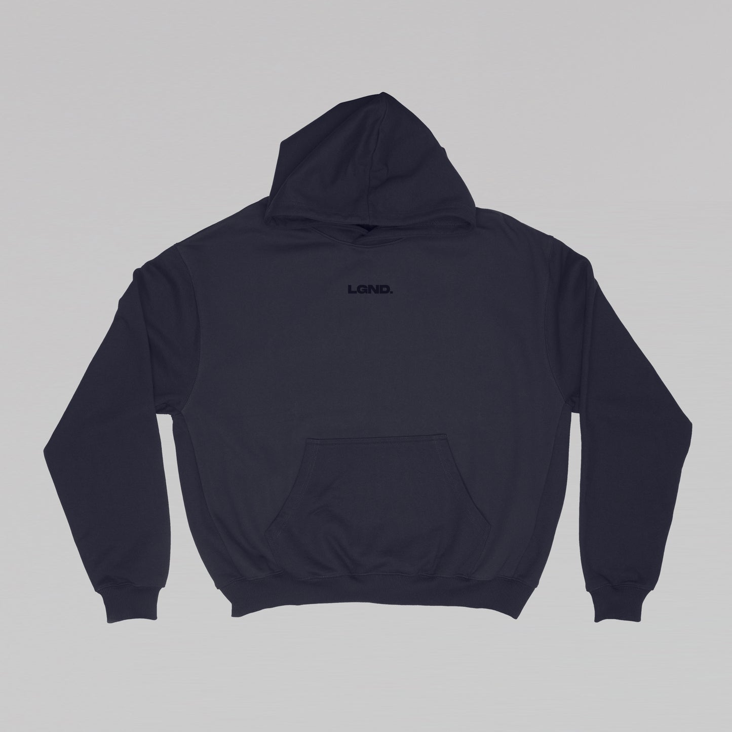 Mini Logo Navy Hoodie