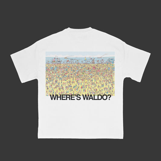 Waldo on the beach